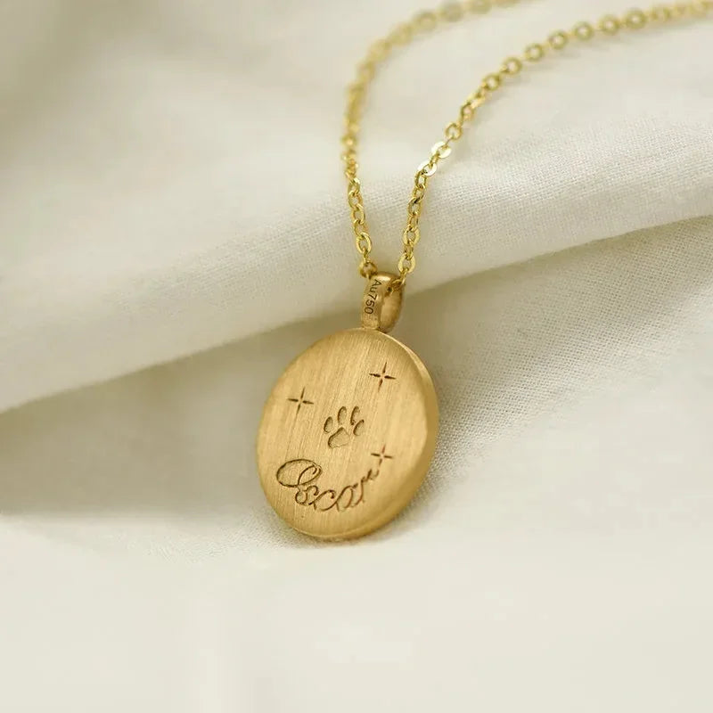 Personalized Celestial Engraved Color Pet Portrait Disc with Name Necklace