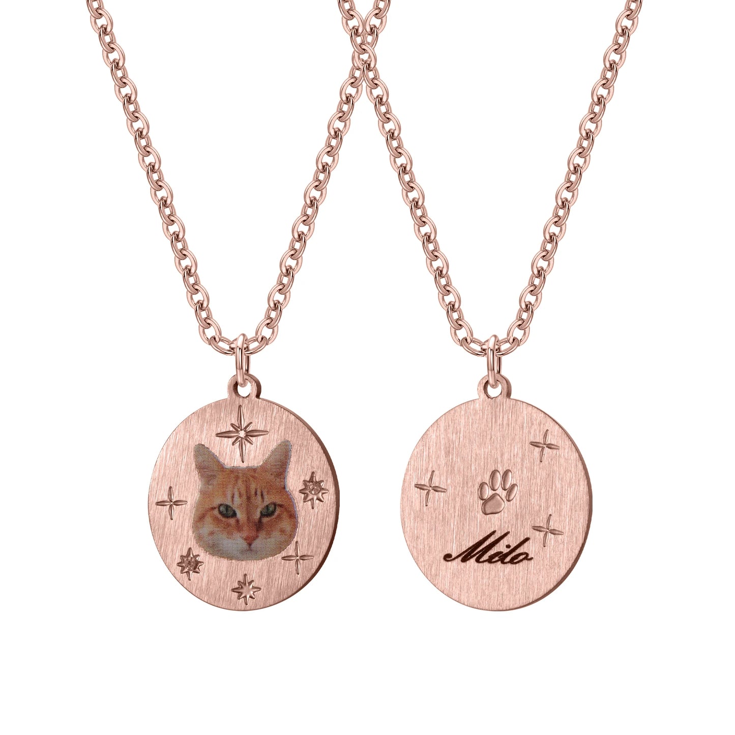 Personalized Celestial Engraved Color Pet Portrait Disc with Name Necklace